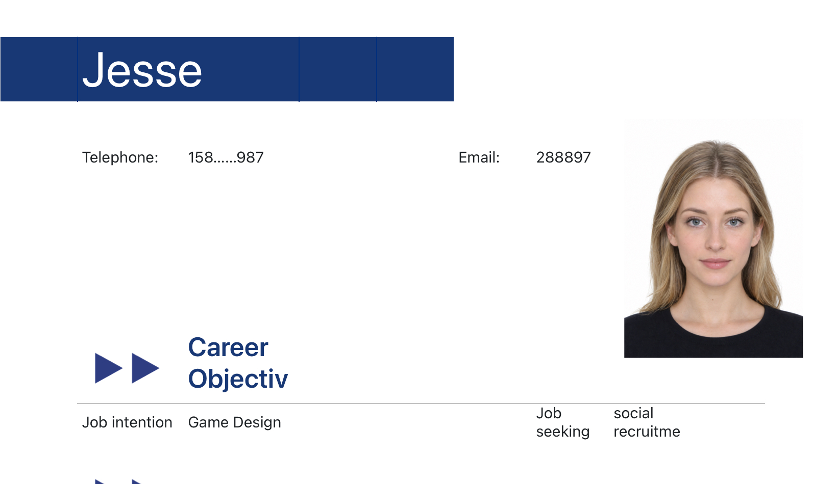 Personal resume for job application 113